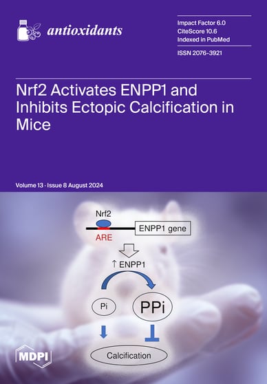 Journal Issue Cover Image