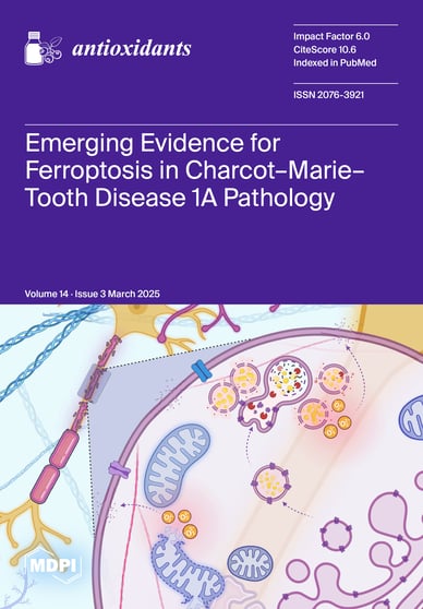 Journal Issue Cover Image