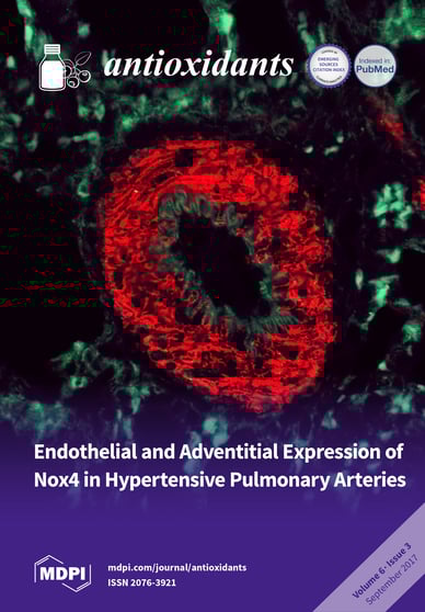 Journal Issue Cover Image