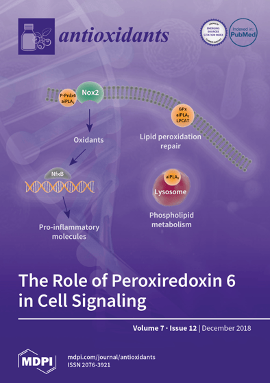 Journal Issue Cover Image