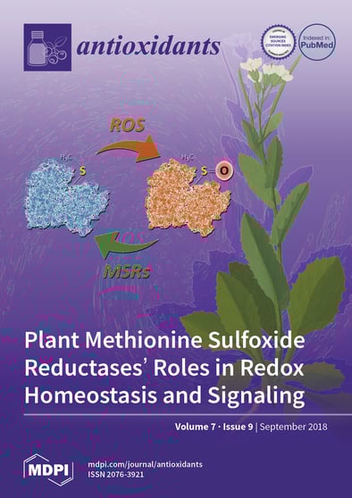 Journal Issue Cover Image