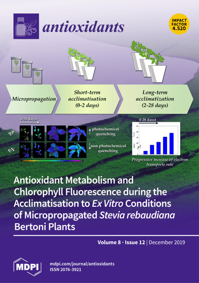 Journal Issue Cover Image
