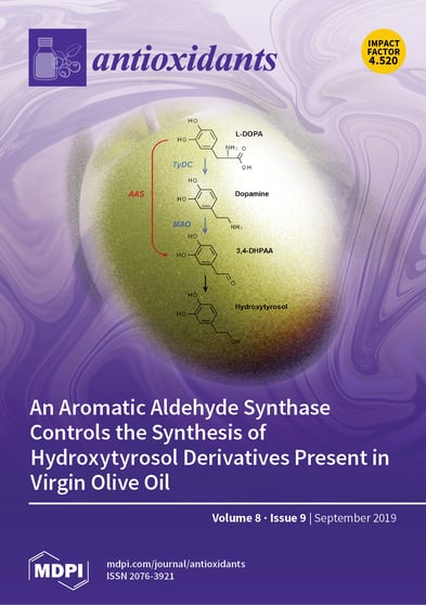 Journal Issue Cover Image