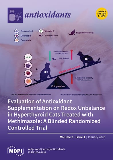 Journal Issue Cover Image