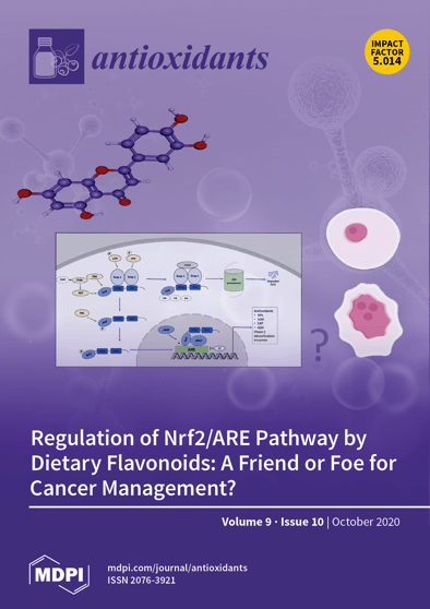 Journal Issue Cover Image