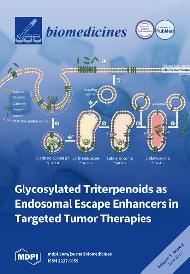 Journal Issue Cover Image