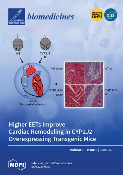 Journal Issue Cover Image