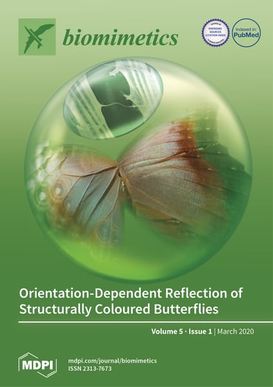 Journal Issue Cover Image