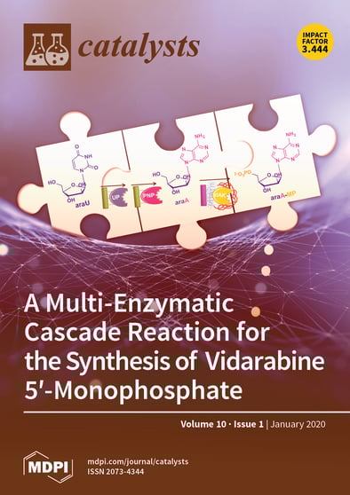 Journal Issue Cover Image