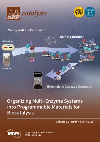 Journal Issue Cover Image