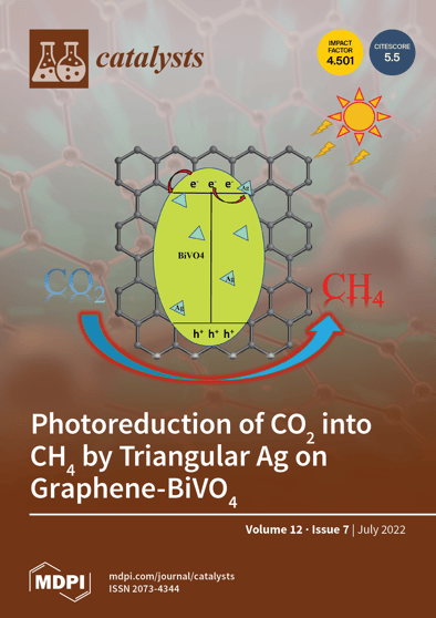 Journal Issue Cover Image