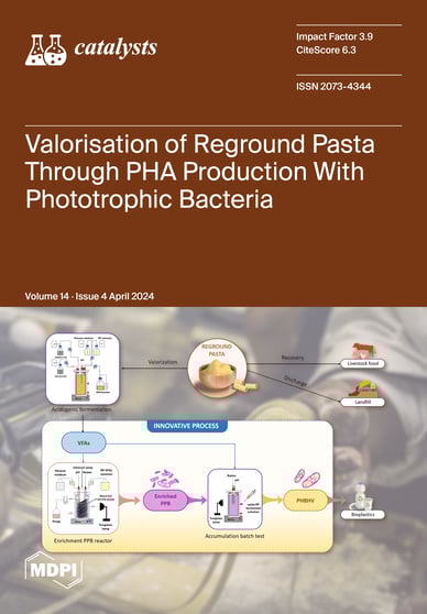 Journal Issue Cover Image