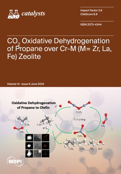 Journal Issue Cover Image