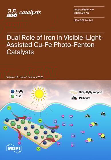 Journal Issue Cover Image