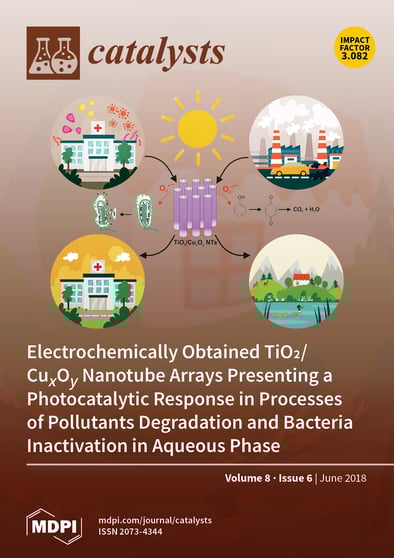 Journal Issue Cover Image