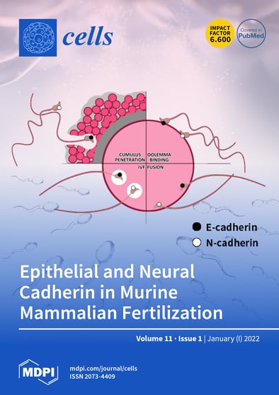 Journal Issue Cover Image
