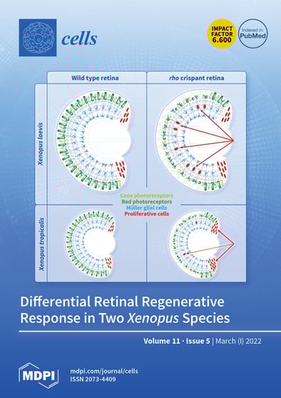 Journal Issue Cover Image