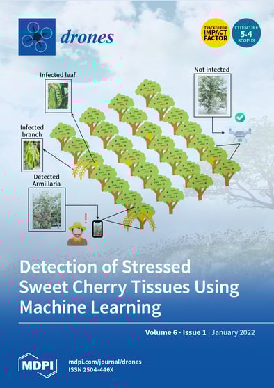 Journal Issue Cover Image