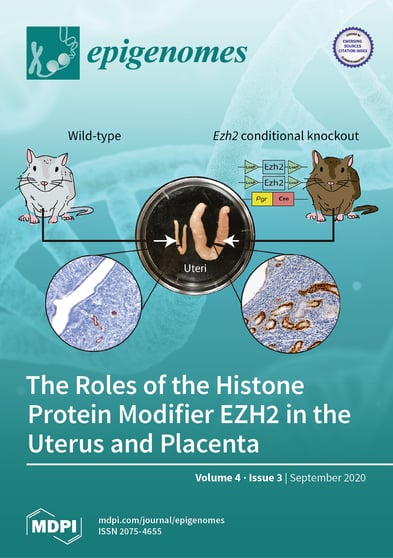 Journal Issue Cover Image