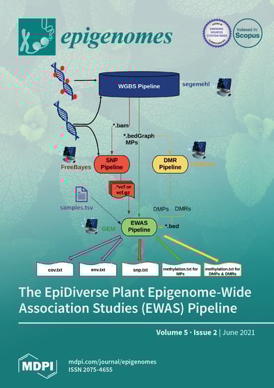 Journal Issue Cover Image