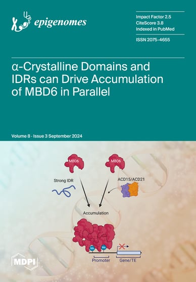 Journal Issue Cover Image