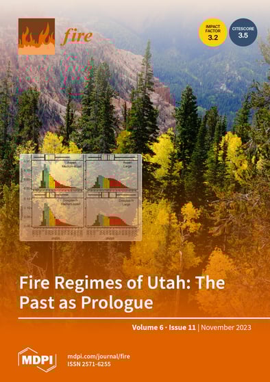 Journal Issue Cover Image