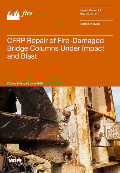 Journal Issue Cover Image