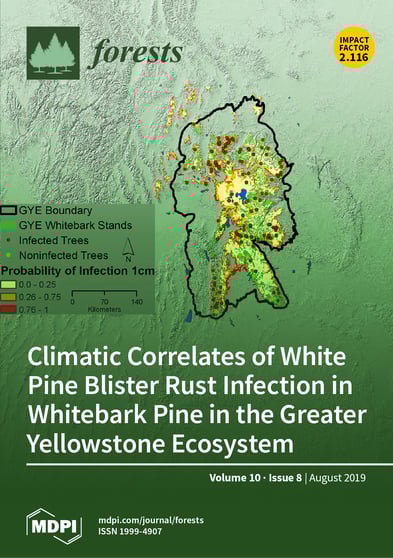 Journal Issue Cover Image