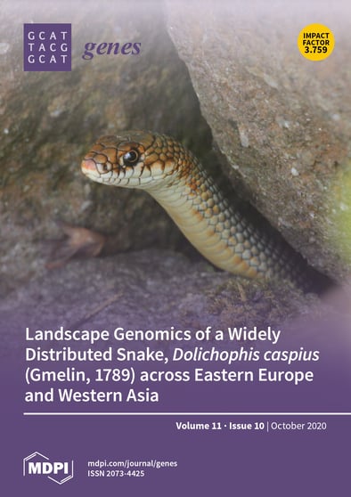 Journal Issue Cover Image