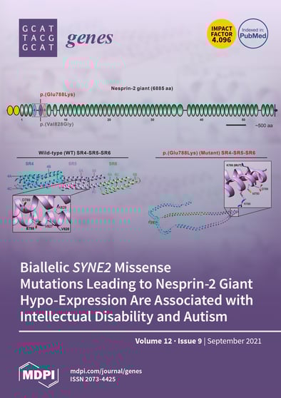 Journal Issue Cover Image