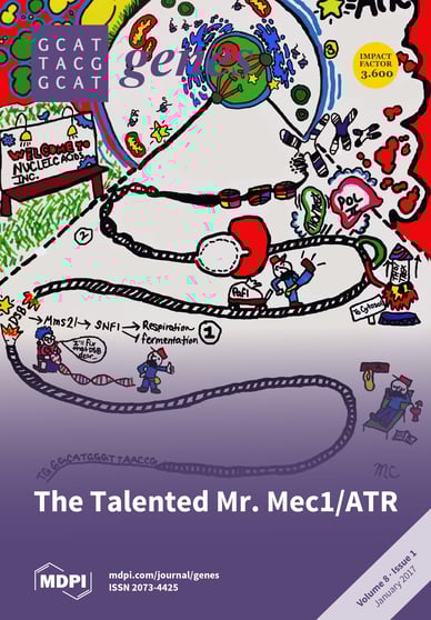 Journal Issue Cover Image