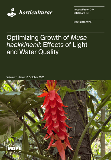 Journal Issue Cover Image