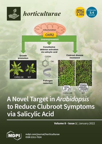 Journal Issue Cover Image