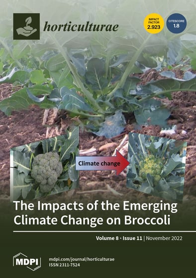 Journal Issue Cover Image