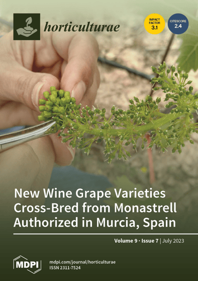 Journal Issue Cover Image