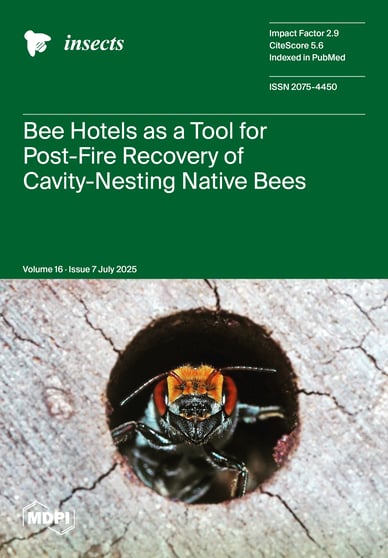 Journal Issue Cover Image