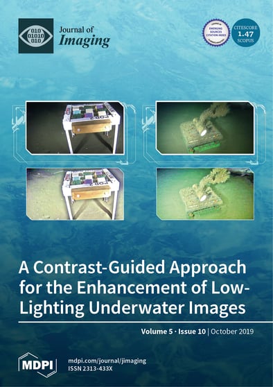 Journal Issue Cover Image