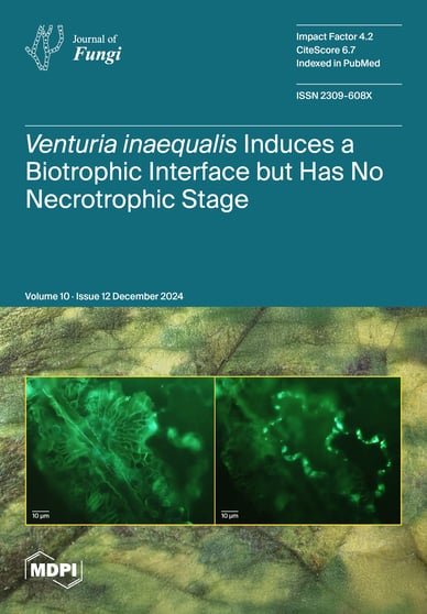 Journal Issue Cover Image