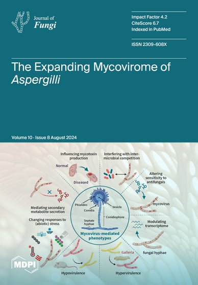 Journal Issue Cover Image