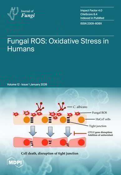 Journal Issue Cover Image