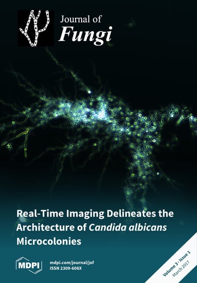 Journal Issue Cover Image