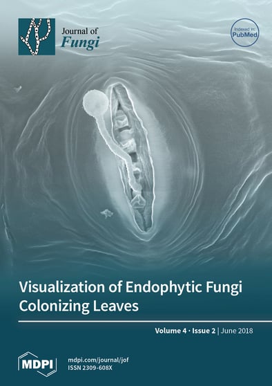 Journal Issue Cover Image