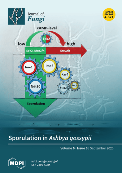 Journal Issue Cover Image