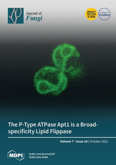 Journal Issue Cover Image