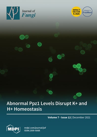 Journal Issue Cover Image