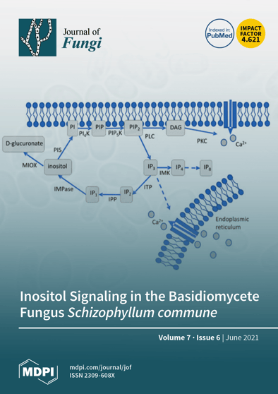 Journal Issue Cover Image