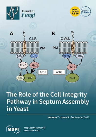 Journal Issue Cover Image