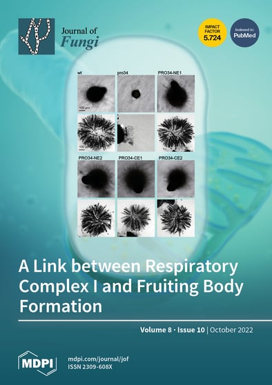 Journal Issue Cover Image