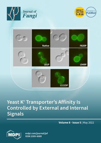 Journal Issue Cover Image