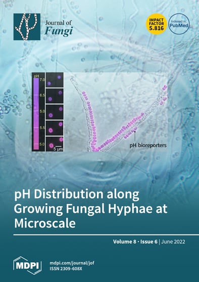 Journal Issue Cover Image
